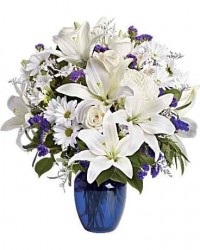 Fleurs | Belle en bleue CP-565 | Boutique en ligne | Roy et Gigu�re